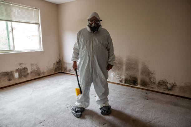 Best Biohazard Mold Removal  in Hallstead, PA